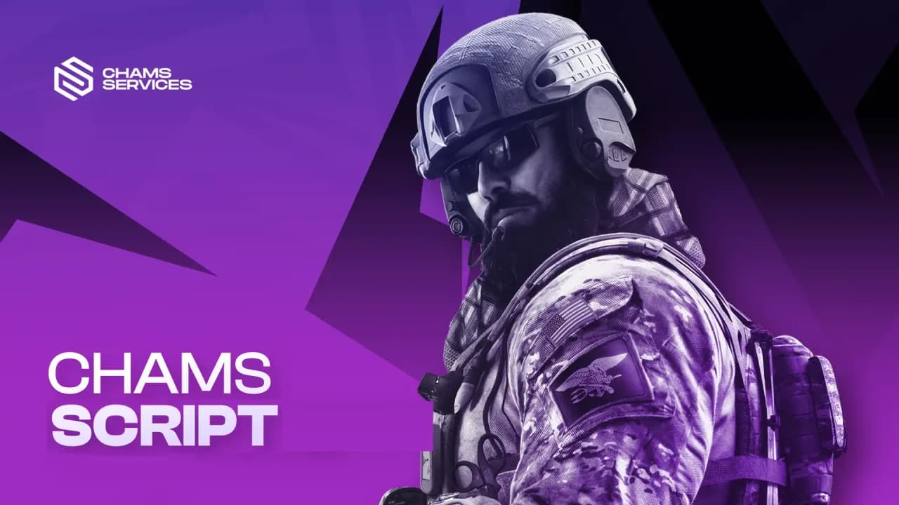 Chams R6 Recoil Script product preview
